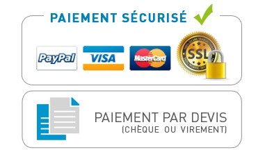 Paiement sécurisé carte bancaire / paypal / chèque / virement